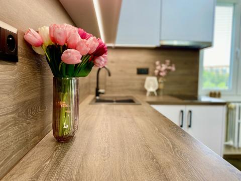 Pronájem bytu 2+kk, Roztoky, Braunerova, 50 m2
