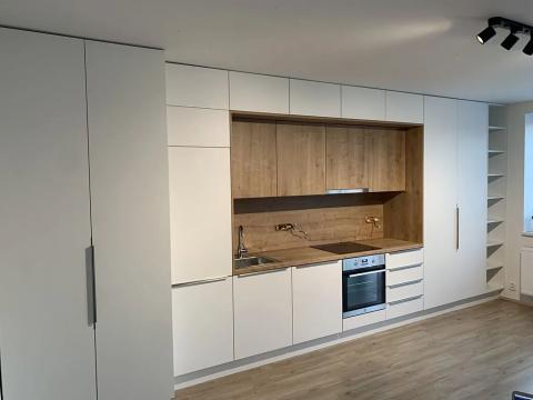 Pronájem bytu 1+kk, Odolena Voda, K Cukrovaru, 38 m2