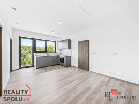 Pronájem bytu 3+kk, Kamenný Újezd, 58 m2
