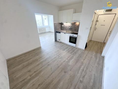 Pronájem bytu 2+1, Praha - Karlín, Nekvasilova, 48 m2