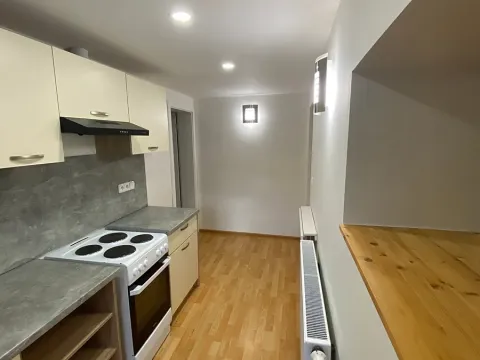 Pronájem bytu 1+1, Uherský Brod, Močidla, 30 m2