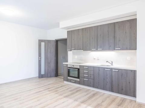 Pronájem bytu 1+kk, Heřmanova Huť, U Pondu, 34 m2