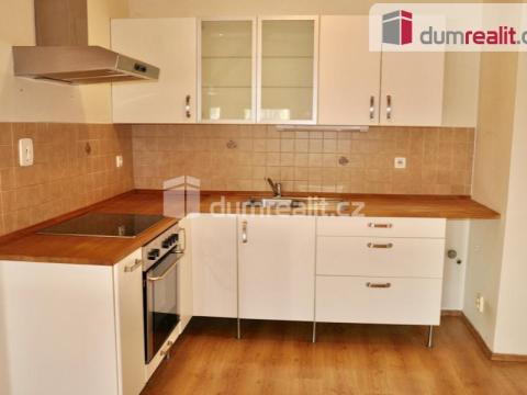 Pronájem bytu 1+kk, Ústí nad Labem - Ústí nad Labem-centrum, Důlce, 43 m2