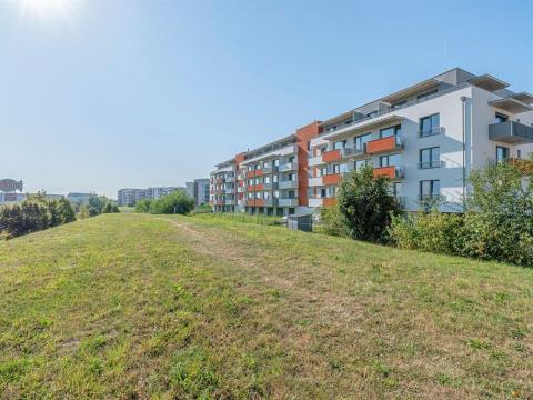 Pronájem bytu 1+kk, Olomouc, 35 m2