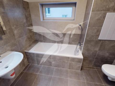 Pronájem bytu 2+kk, Plzeň, Vrchlického, 50 m2