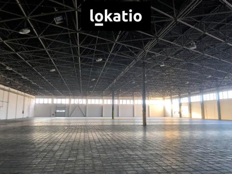 Pronájem skladu, Olomouc - Holice, 4400 m2