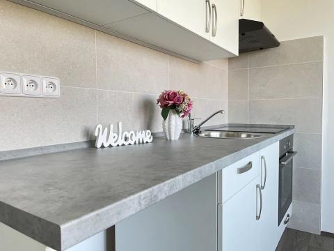 Pronájem bytu 1+1, Litvínov, U Bílého sloupu, 42 m2