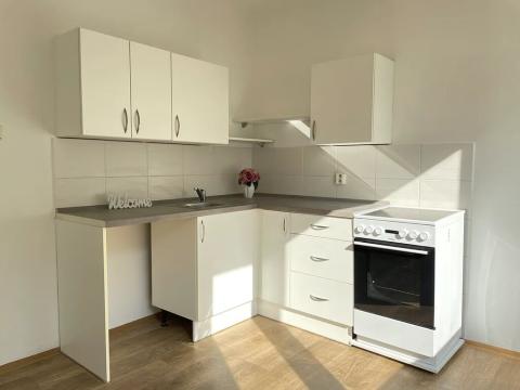Pronájem bytu 1+1, Litvínov, U Bílého sloupu, 41 m2