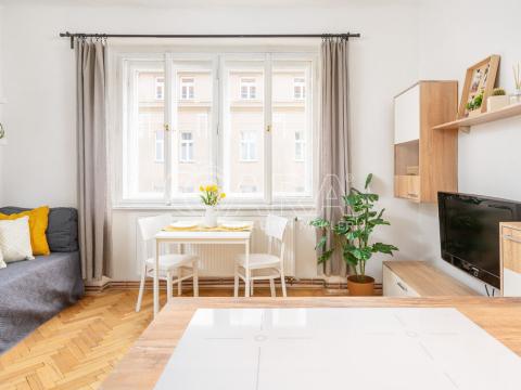 Pronájem bytu 1+kk, Praha - Smíchov, Kotevní, 30 m2