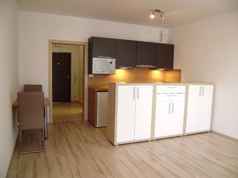 Pronájem bytu 1+kk, Praha, Svitákova, 37 m2