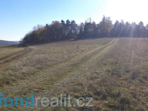 Prodej pole, Prostějovičky, 4923 m2