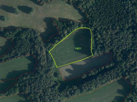 Prodej pozemku, Sobotín, 10593 m2