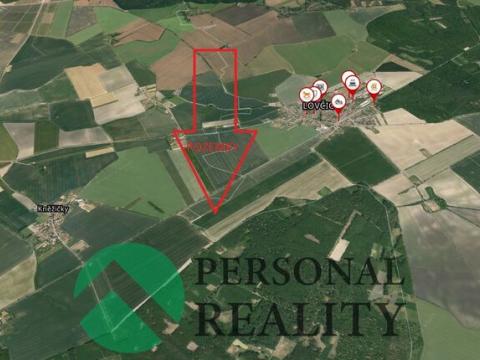 Prodej podílu 1/2 pole, Lovčice, 8299 m2