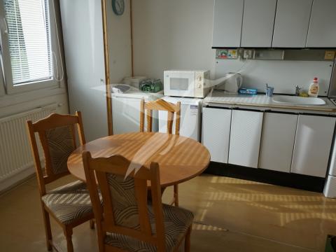 Pronájem bytu 1+1, Plzeň, Manětínská, 39 m2