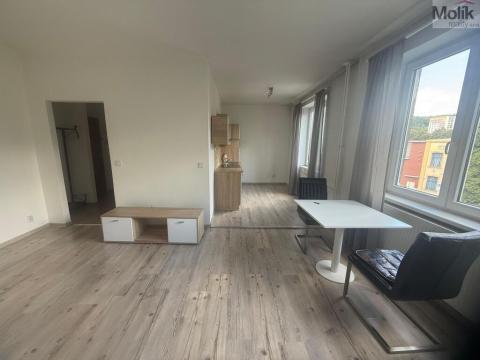 Pronájem bytu 2+kk, Litvínov - Horní Litvínov, Ukrajinská, 55 m2