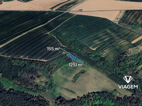 Prodej lesa, Svatoslav, 1406 m2