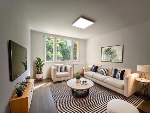 Pronájem bytu 1+kk, Tábor, Jaselská, 20 m2