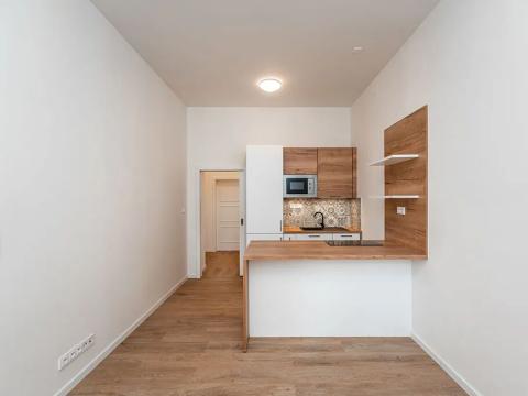 Pronájem bytu 2+kk, Praha - Žižkov, Chlumova, 42 m2