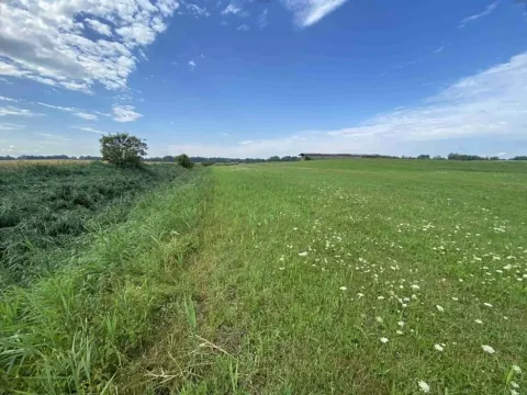 Dražba pole, Lomnice nad Lužnicí, 16506 m2