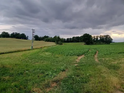 Dražba pozemku, Okna, 6791 m2
