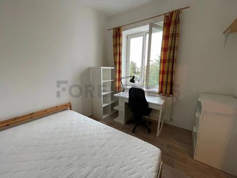 Pronájem pokoje, Hradec Králové, Fučíkova, 12 m2