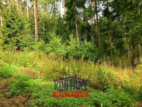 Prodej lesa, Bušanovice, 2562 m2