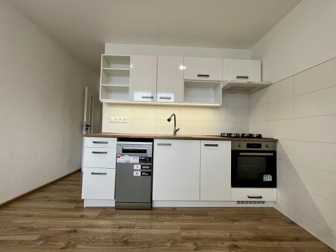 Pronájem bytu 2+1, Ostrava - Přívoz, Arbesova, 55 m2