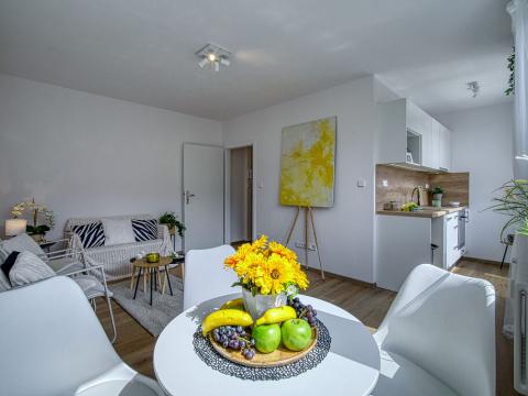Pronájem bytu 1+kk, Most, Moskevská, 26 m2