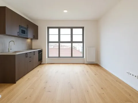 Pronájem bytu 1+kk, Brno, Bratislavská, 25 m2