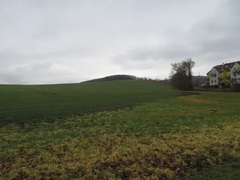 Dražba pole, Kuřim, 346 m2