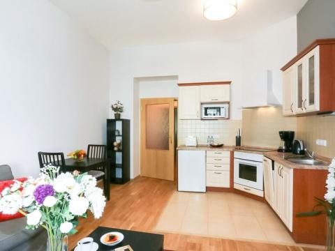 Pronájem bytu 2+kk, Praha - Vinohrady, Na Kozačce, 40 m2