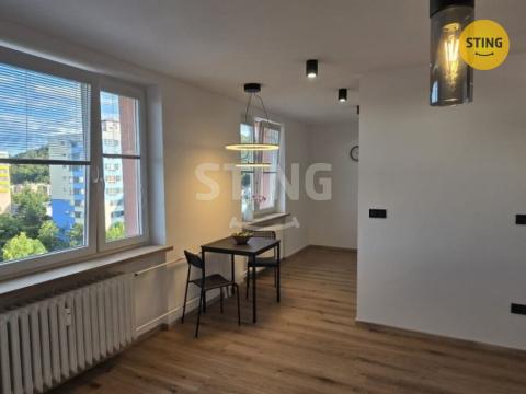 Prodej bytu 1+kk, Krnov, SPC E, 40 m2