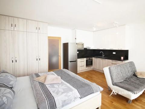 Pronájem bytu 1+kk, Brno, 52 m2