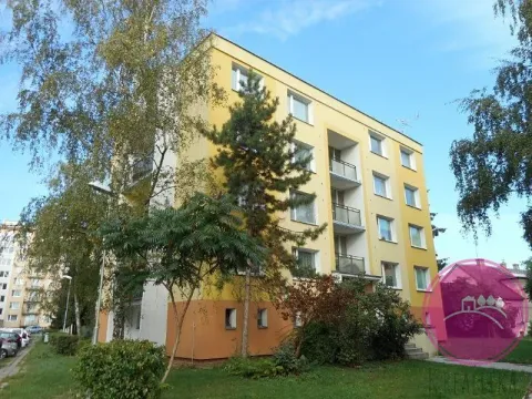 Pronájem pokoje, Olomouc, Nešporova, 65 m2