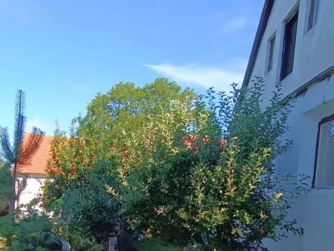 Pronájem chalupy, 66 m2