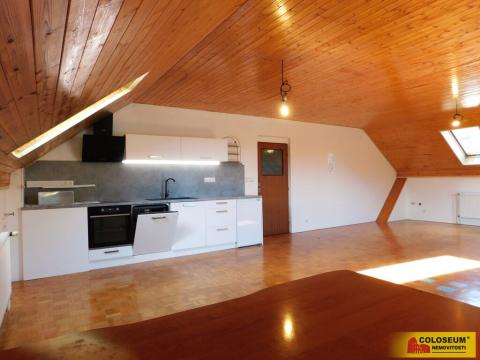 Pronájem bytu 3+kk, Dobšice, 130 m2