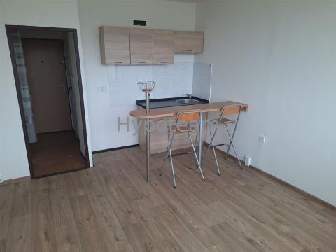 Pronájem bytu 1+kk, Ústí nad Labem - Ústí nad Labem-centrum, Hoření, 22 m2
