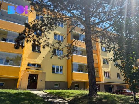 Prodej bytu 2+1, Karviná, Haškova, 48 m2