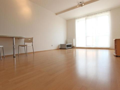 Pronájem bytu 1+kk, Brno - Medlánky, Ke Statku, 38 m2