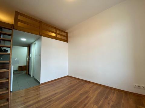 Pronájem bytu 1+kk, Praha - Vysočany, Freyova, 18 m2