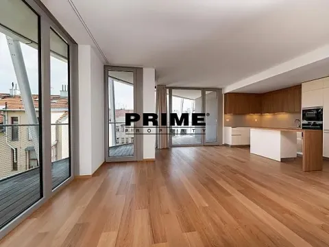 Pronájem bytu 4+kk, Praha - Smíchov, Holečkova, 174 m2