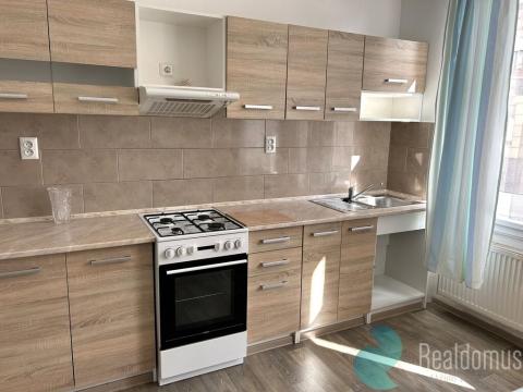 Pronájem bytu 2+1, České Budějovice, Dobrovodská, 98 m2