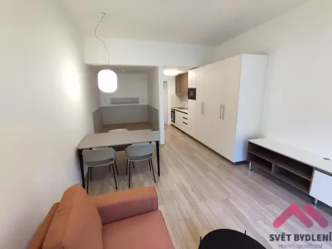Pronájem bytu 1+kk, Praha - Žižkov, Hartigova, 37 m2