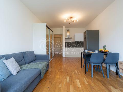 Pronájem bytu 1+kk, Praha - Žižkov, Havlíčkovo náměstí, 31 m2