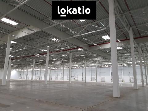 Pronájem skladu, Rudná, K Vypichu, 3015 m2