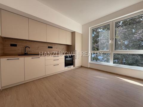 Pronájem bytu 2+kk, České Budějovice, Hálkova, 36 m2