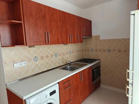 Pronájem bytu 1+1, Ostrava, Opavská, 42 m2