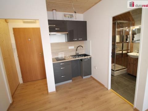 Pronájem bytu 1+kk, Mariánské Lázně, Hlavní třída, 25 m2