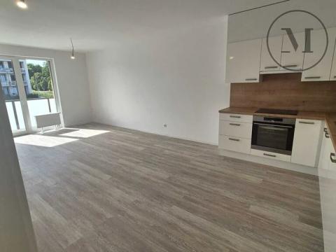 Pronájem bytu 2+kk, České Budějovice, Branišovská, 78 m2