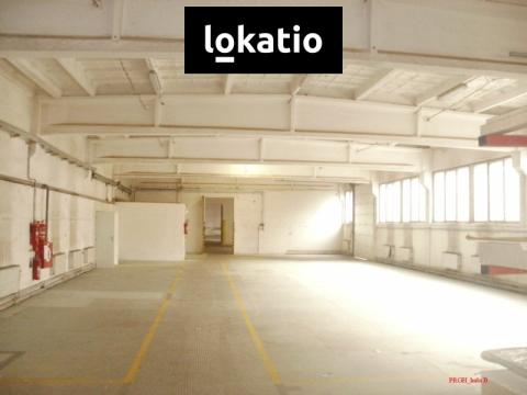 Pronájem skladu, Praha - Horní Počernice, Ve žlíbku, 504 m2
